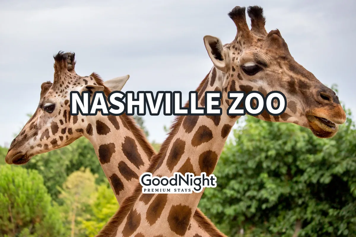 Two giraffes stand against a backdrop of lush greenery at the Nashville Zoo, highlighting an interactive and educational outdoor attraction ideal for families and children.